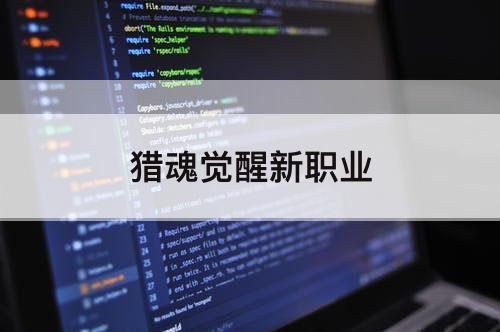 猎魂觉醒新职业