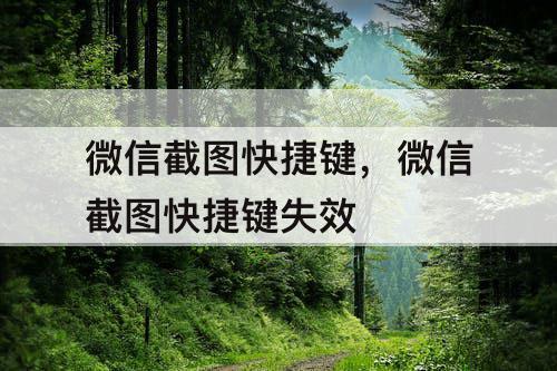 微信截图快捷键,微信截图快捷键失效