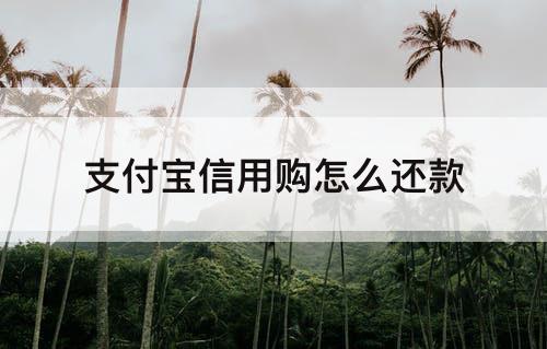 支付宝信用购怎么还款