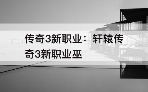 传奇3新职业:轩辕传奇3新职业巫