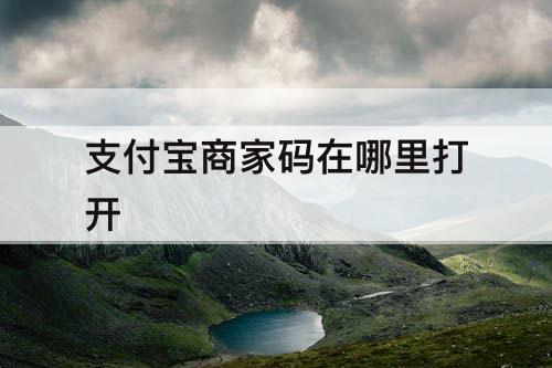 支付宝商家码在哪里打开