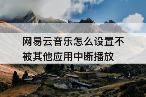 网易云音乐怎么设置不被其他应用中断播放