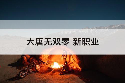 大唐无双零 新职业