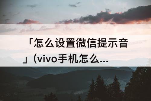 「怎么设置微信提示音」(vivo手机怎么设置微信提示音阿斗)