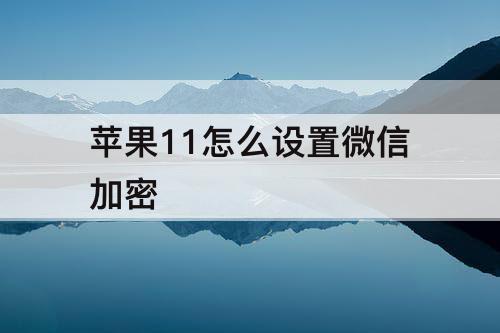 苹果11怎么设置微信加密