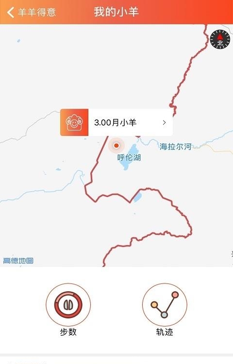 羊羊得意
