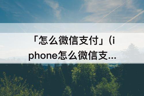 「怎么微信支付」(iphone怎么微信支付黄钻)