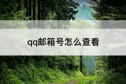 qq邮箱号怎么查看