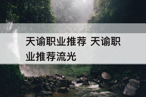 天谕职业推荐 天谕职业推荐流光