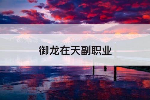 御龙在天副职业