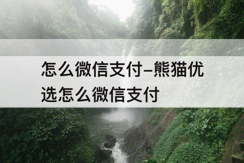 怎么微信支付-熊猫优选怎么微信支付