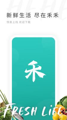 禾禾网(直播带货)截图