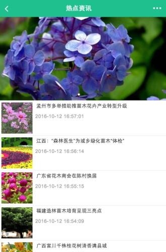 合肥苗木网