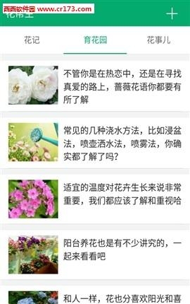 花帮主