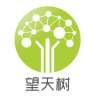望天树