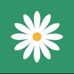 花帮主