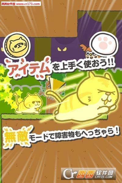 猫里奥与偷腥猫