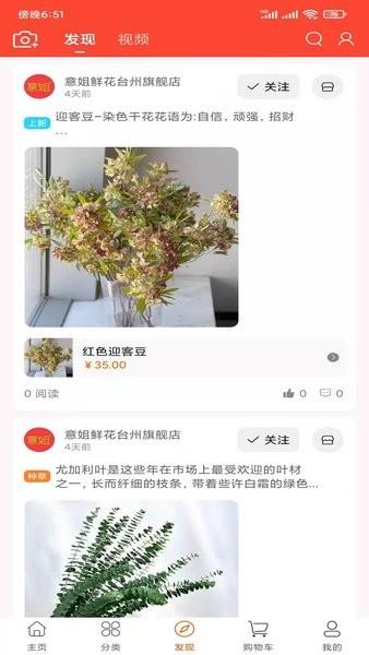 意姐