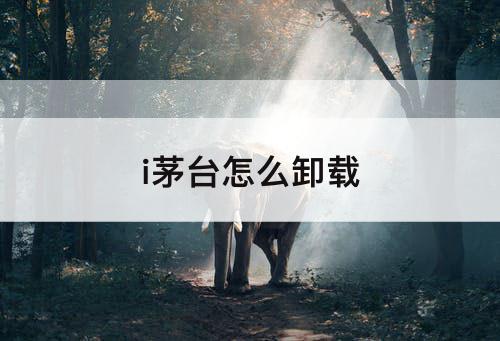 i茅台怎么卸载