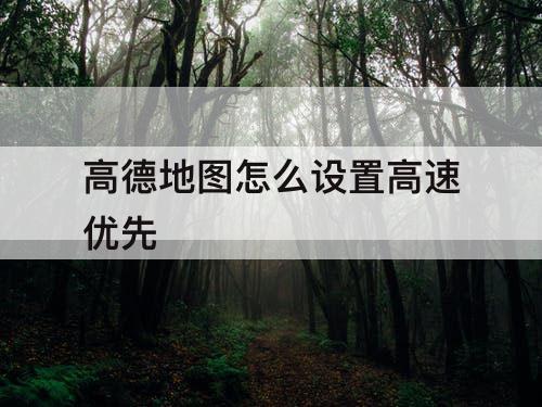高德地图怎么设置高速优先