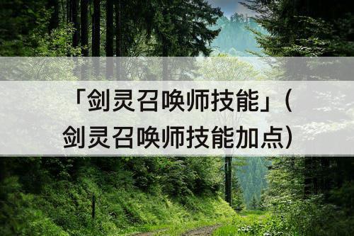 「剑灵召唤师技能」(剑灵召唤师技能加点)