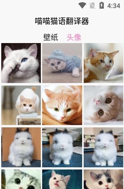 喵喵猫语翻译器