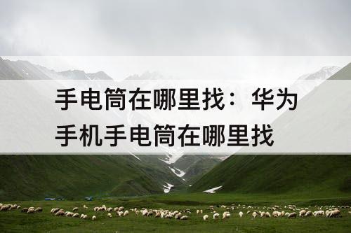 手电筒在哪里找：华为手机手电筒在哪里找