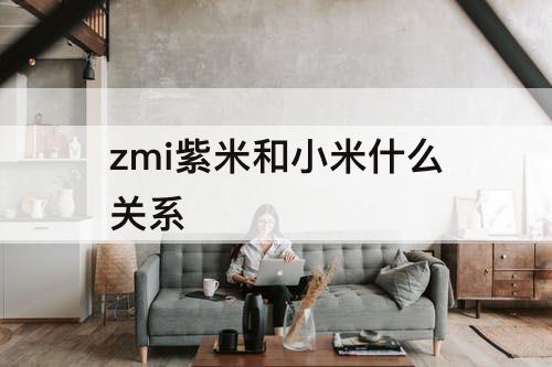 zmi紫米和小米什么关系