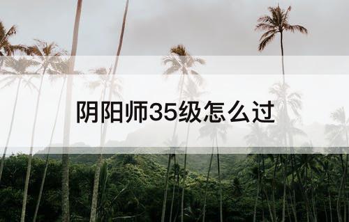 阴阳师35级怎么过