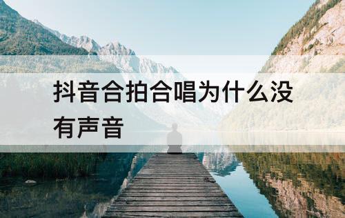 抖音合拍合唱为什么没有声音