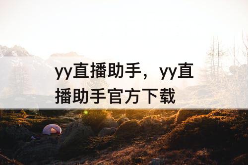 yy直播助手，yy直播助手官方下载