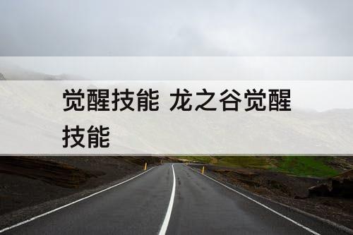 觉醒技能 龙之谷觉醒技能