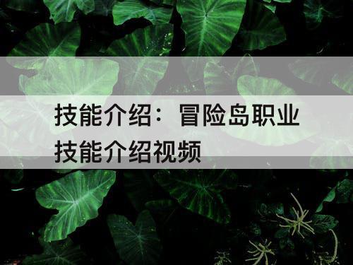 技能介绍：冒险岛职业技能介绍详情