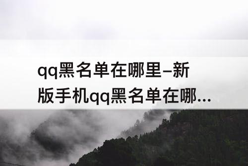 qq黑名单在哪里-新版手机qq黑名单在哪里