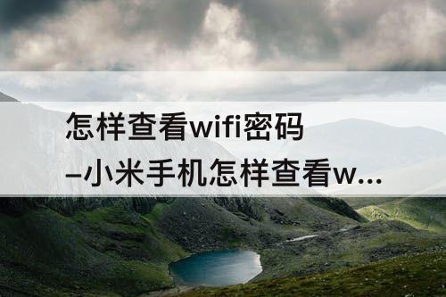 怎样查看wifi密码-小米手机怎样查看wifi密码