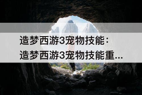 造梦西游3宠物技能：造梦西游3宠物技能重置技能变少了