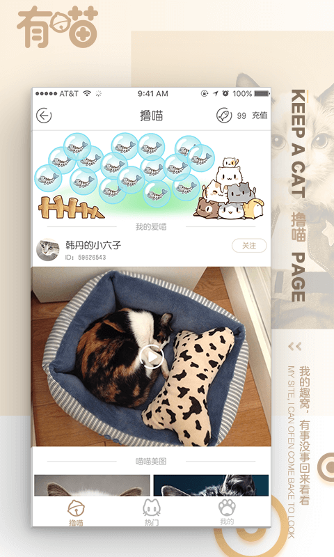 有喵云养猫截图