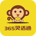 365灵活通