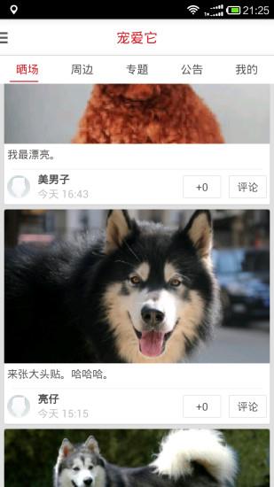 宠爱它