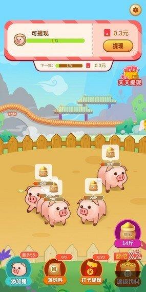 我的小猪