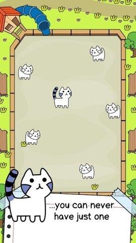 Cat截图