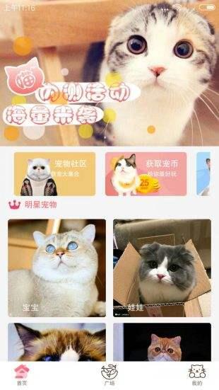 猫咪社区截图
