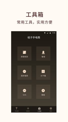 桔子手电筒（Flashlight）截图