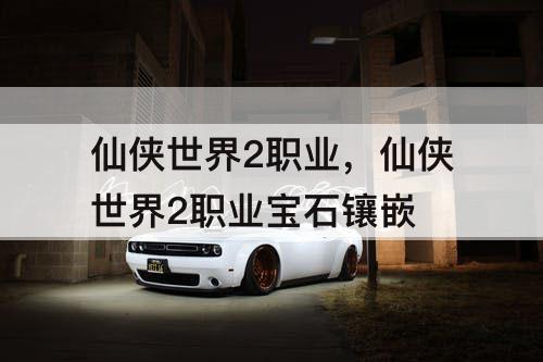 仙侠世界2职业，仙侠世界2职业宝石镶嵌