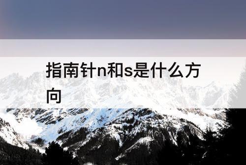 指南针n和s是什么方向