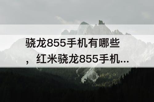骁龙855手机有哪些，红米骁龙855手机有哪些