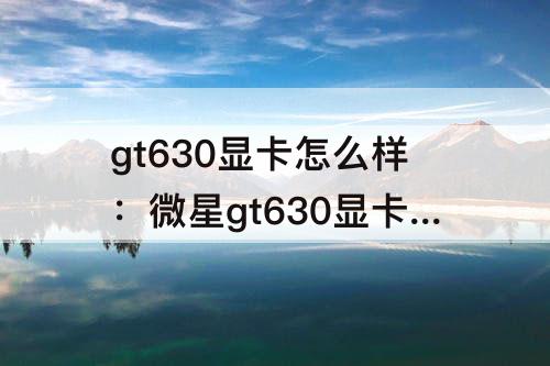 gt630显卡怎么样：微星gt630显卡怎么样