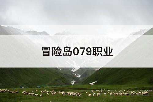 冒险岛079职业