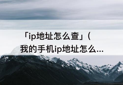 「ip地址怎么查」(我的手机ip地址怎么查询)