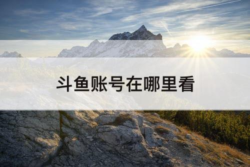 斗鱼账号在哪里看